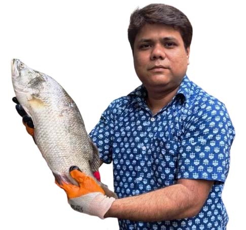 Fish Mart Franchise in India