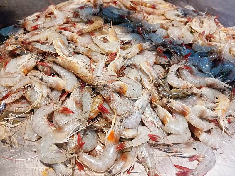 Get Shrimp Price
