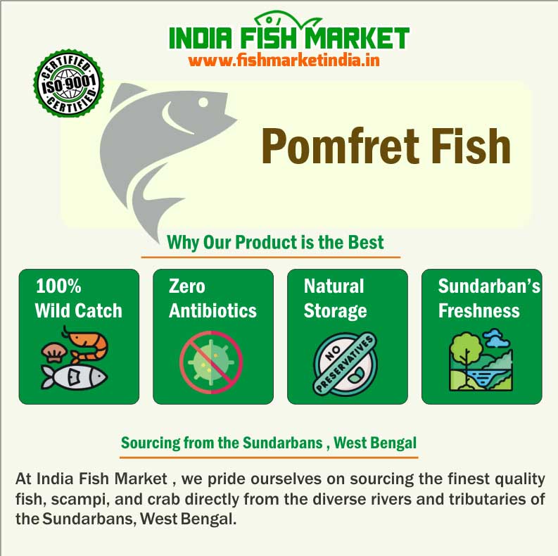 Pomfret Fish catalogue